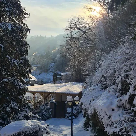 Waldhaus Zum Gechillten Hirsch In Der Natur, Bei Der Moseltherme Traben-Trarbach Esterno foto