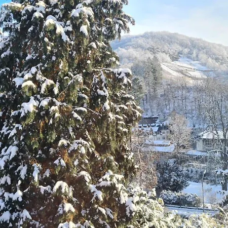 Waldhaus Zum Gechillten Hirsch In Der Natur, Bei Der Moseltherme Traben-Trarbach Esterno foto