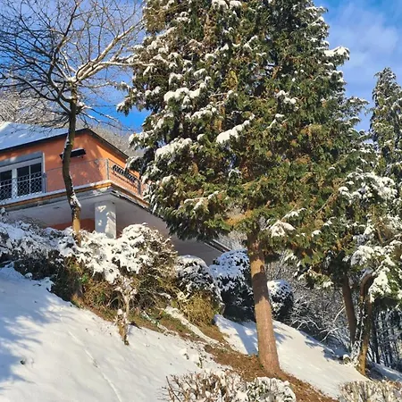 Waldhaus Zum Gechillten Hirsch In Der Natur, Bei Der Moseltherme Traben-Trarbach Esterno foto