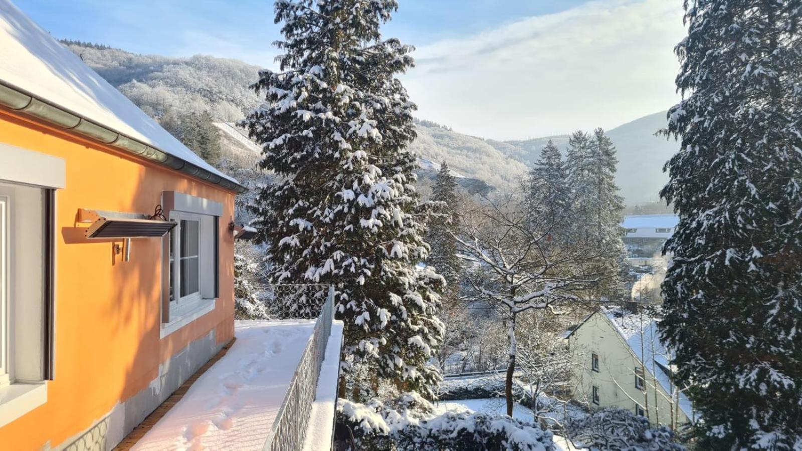 Appartement Waldhaus Zum Gechillten Hirsch In Der Natur, Bei Der Moseltherme Traben-Trarbach