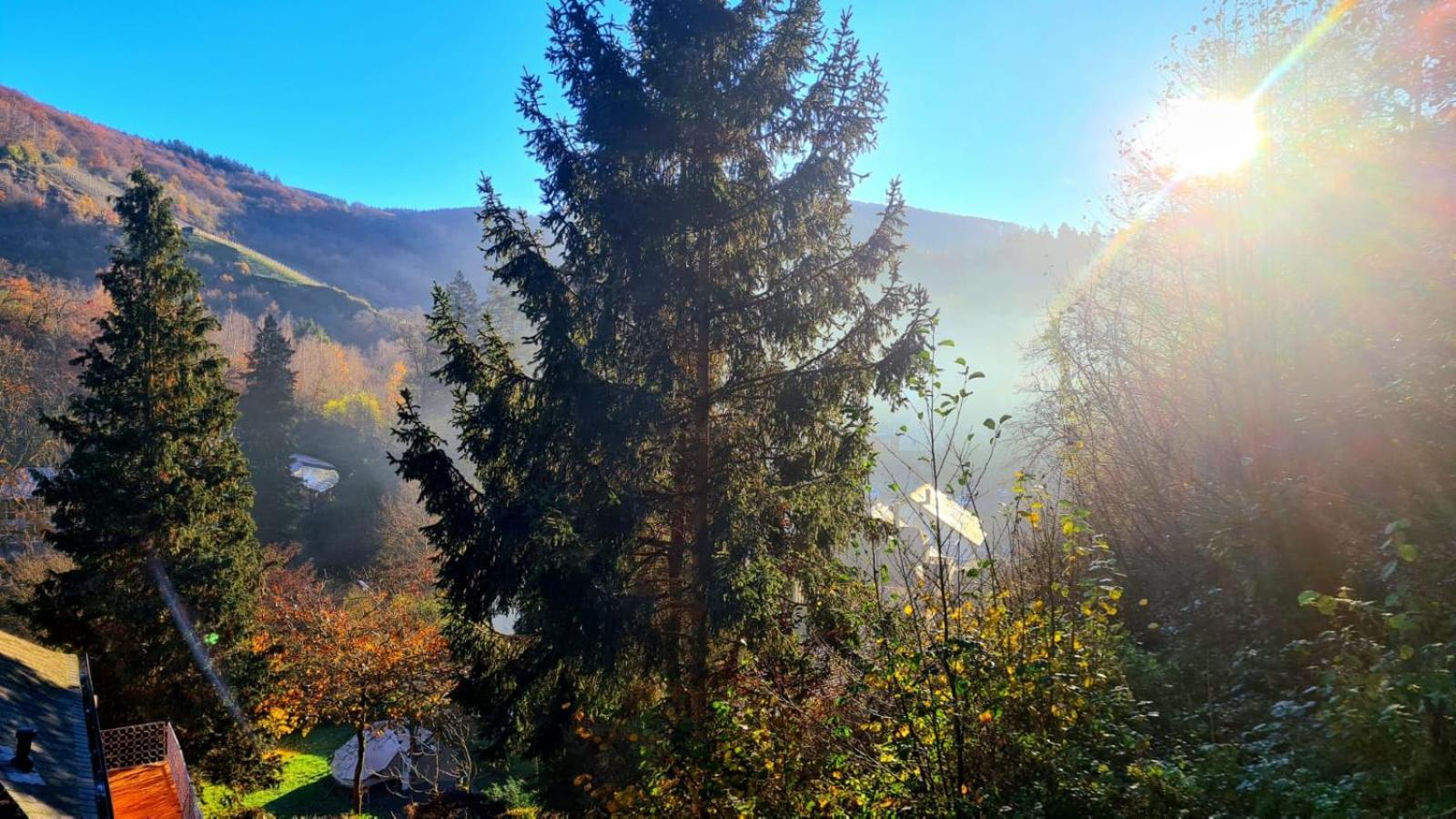 Waldhaus Zum Gechillten Hirsch In Der Natur, Bei Der Moseltherme Appartement *