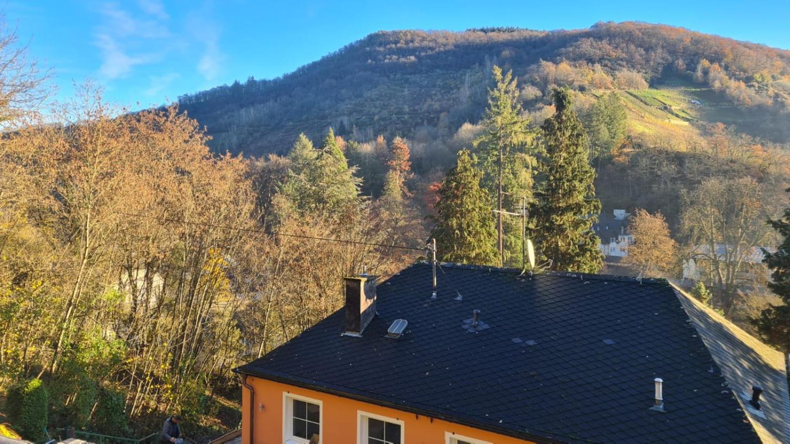 Appartement Waldhaus Zum Gechillten Hirsch In Der Natur, Bei Der Moseltherme Traben-Trarbach