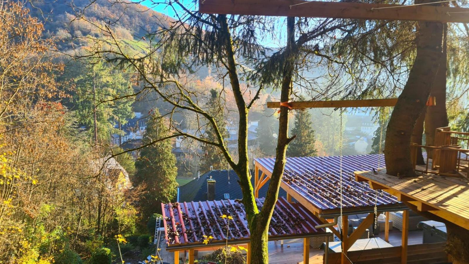 Appartement Waldhaus Zum Gechillten Hirsch In Der Natur, Bei Der Moseltherme Traben-Trarbach