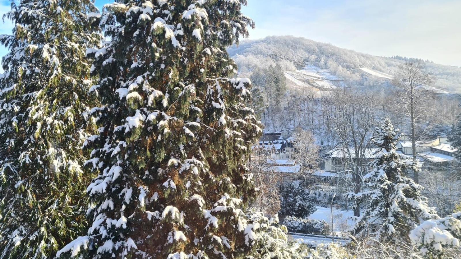 Waldhaus Zum Gechillten Hirsch In Der Natur, Bei Der Moseltherme *