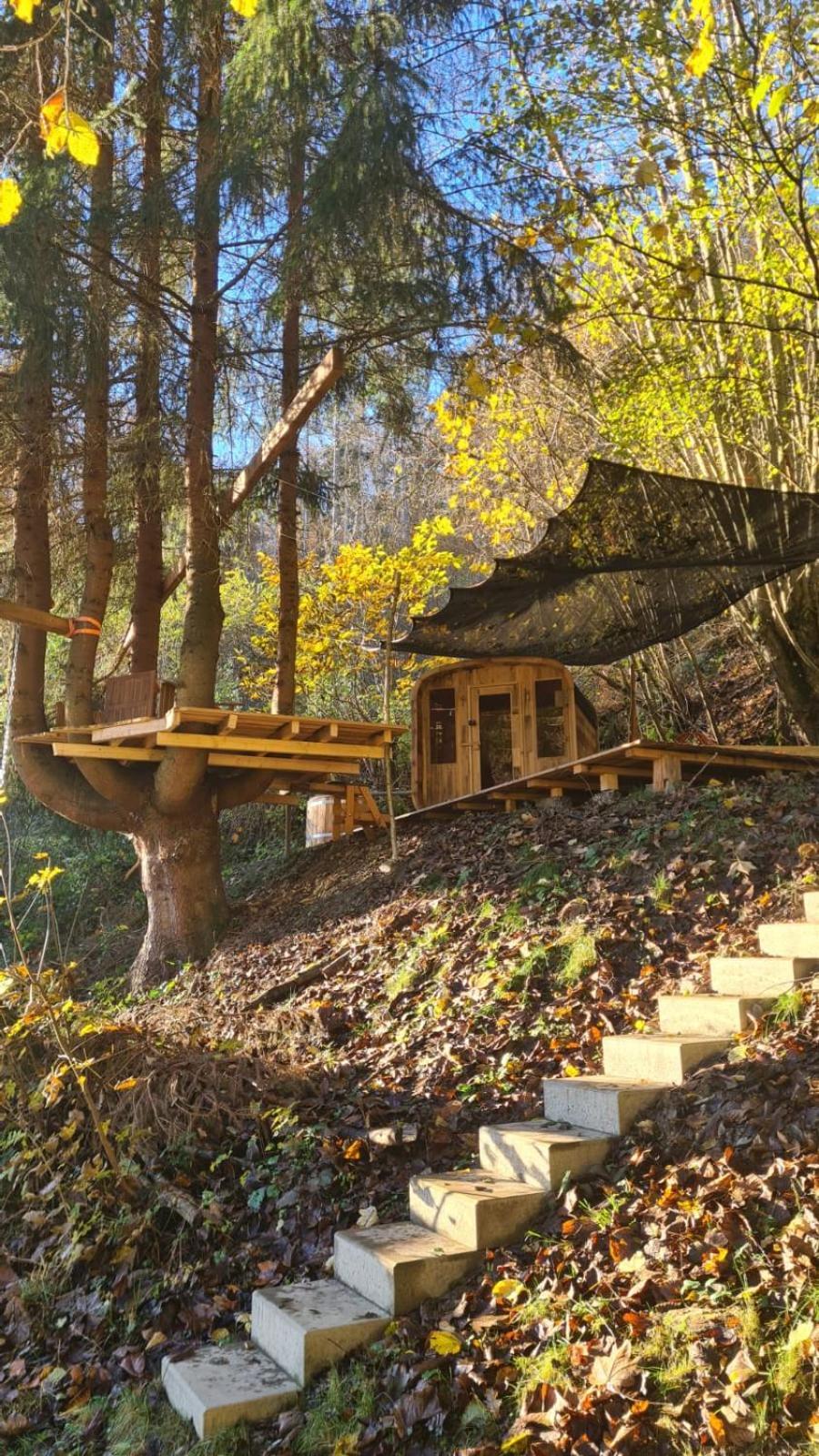 Waldhaus Zum Gechillten Hirsch In Der Natur, Bei Der Moseltherme Appartement