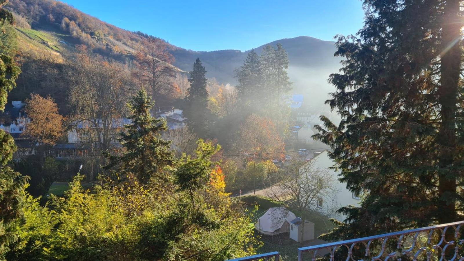 Appartement Waldhaus Zum Gechillten Hirsch In Der Natur, Bei Der Moseltherme