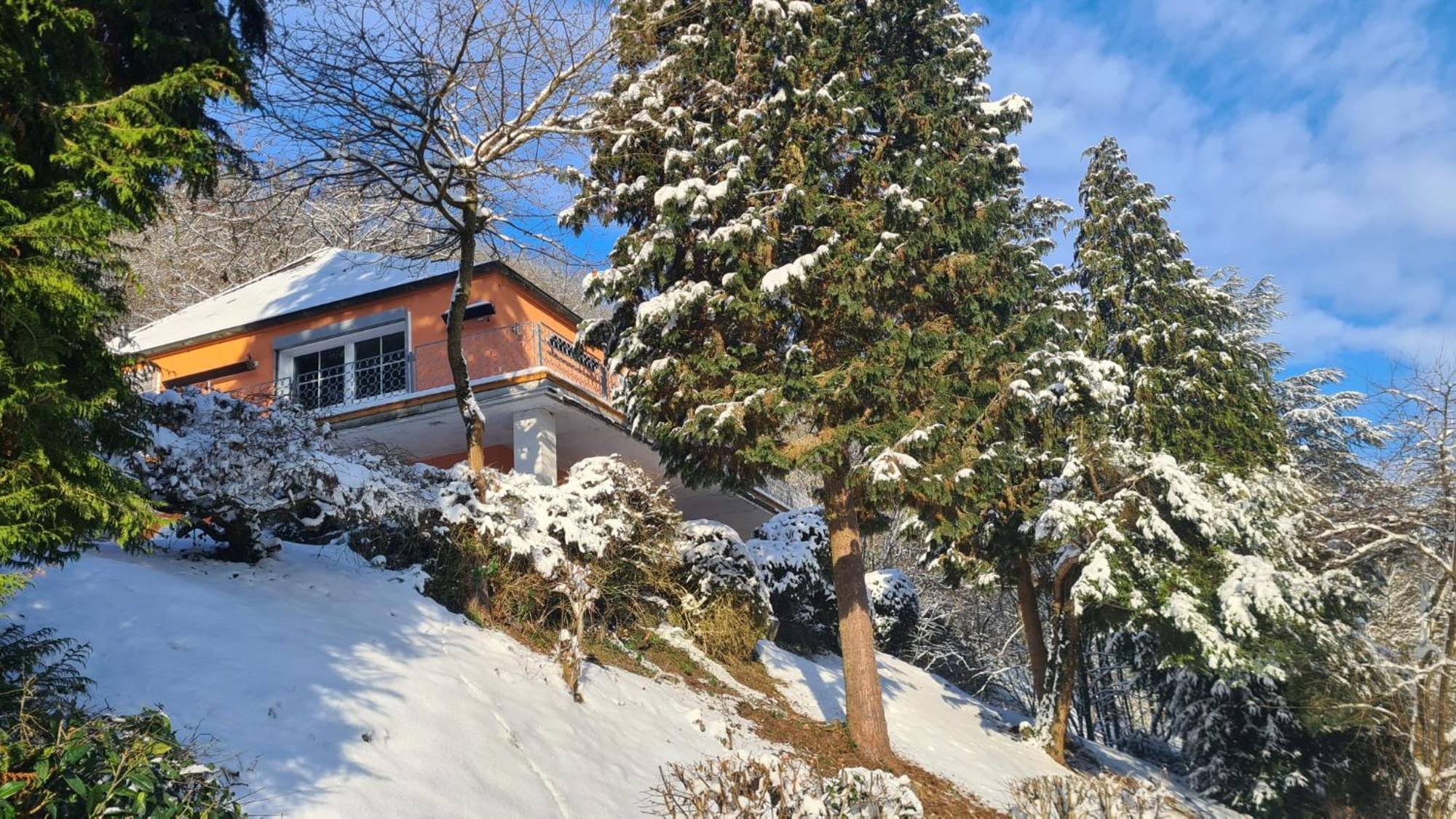 Waldhaus Zum Gechillten Hirsch In Der Natur, Bei Der Moseltherme Appartement Traben-Trarbach